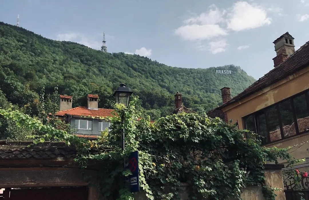 Lovely Brasov Flat With Patio And Mountain Views-1